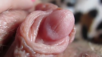 Up Close And Personal With My Throbbing Clit
